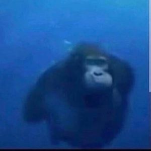 Meet your Posher, Ramon